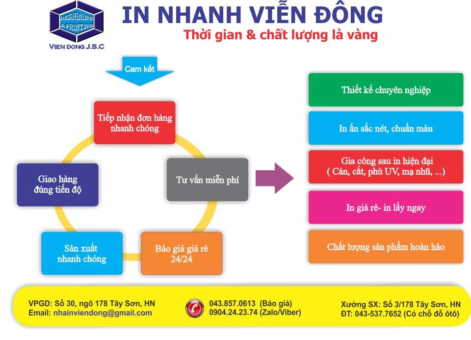  hoat dong cong ty vien dong.jpg